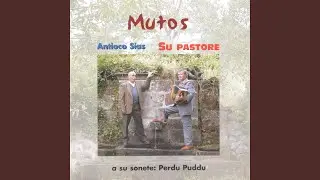 Su talebanu