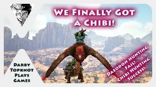 Darby Topknot Hanging Around on ARK Scorched Earth Livestream [18] (Chibi Rex & Resources!)