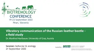 Vibratory communication of the Russian-leather beetle &ndash; a field study