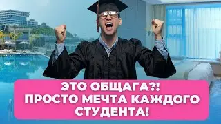 Роскошная студенческая жизнь в Дубае: общага, которую сложно назвать общагой!