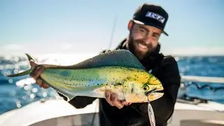 SWITCH YOUR FISH | Mahi Mahi, Amberjack, Cobia, Mackerel #fishingforchange