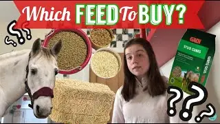 Winter Horse Feeding Guide ~ The Winter Series