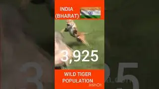 South Asian countries wild tiger 🐯 population. #tiger #india