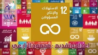 اهداف التنمية المستدامة | الهدف الثاني عشر :الاستهلاك والإنتاج المسؤولان |اعداد وتقديم محمود الزارعي