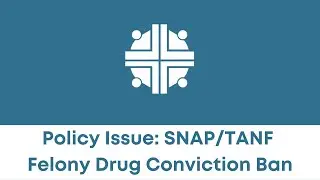 Advocacy Network Panel Policy Issue: SNAP TANF Felony Drug Conviction Ban