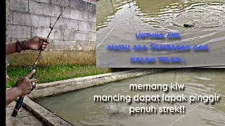 Mancing di Empang ikan nya pada ngeblok di pinggir sampai kewalahan di buat nya‼️