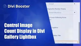 Control Image Count Display in Divi Gallery Lightbox