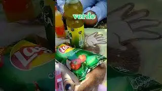 picnicc