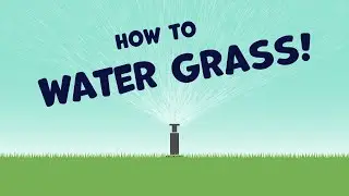 How to Water Grass (Winter)