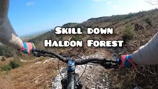 HALDON FOREST OFF-PISTE - SKILL DOWN (HARDTAIL)