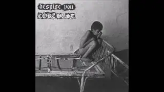 Despise You / Coke Bust &lrm;&ndash; Despise You / Coke Bust [FULL SPLIT]