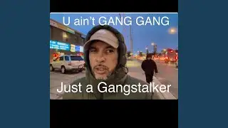 U Ain&rsquo;t Gang Gang (Gangstalker Diss)