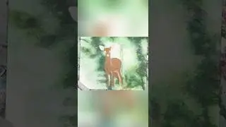 Watch As I Paint Details on a Deer in Spring