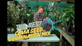 🌱 Grow Gorgeous Clivias! 🔥 Top Seed Germination Mix REVEALED! 🌿