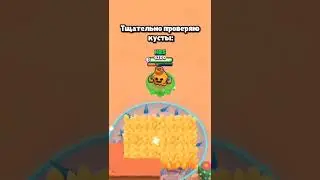 Это не монтаж! 😱Я не знаю откуда они появились 🧢🧡🌵