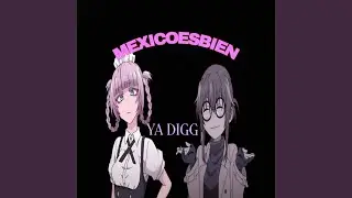 YA DIGG (Slowed)