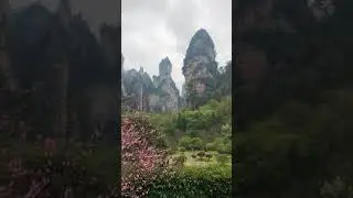 zhangjiajie national forest park video in spring 2