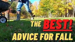 3 Step Guide to Fall Lawn Care