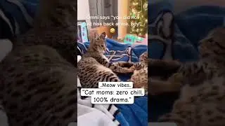 &ldquo;Cat Moms Be Like: Gentle? Never Heard of It!&rdquo;