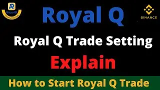 Royal Q  Quantitative trading setup tutorial | Royal Q Trade Setting