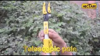 Telescopic long reach pruner