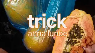 Anna Lunoe - Trick (Official Visualiser)