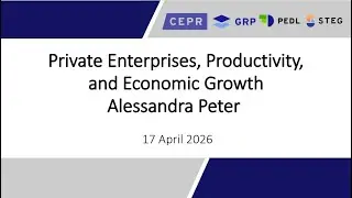 Session 10 - STEG-PEDL Virtual Course - Private Enterprises, Productivity, and Economic Growth