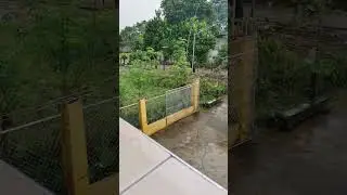 Rainy morning