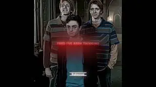 Shouldn't have messed with Fred and George. | Edit By Rubycruz