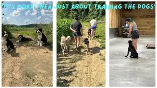 A Week In The Life Of A Dog Trainer (Vlog # 1)