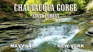 Chautauqua Gorge State Forest - Mayville, NY PHOTO-VIDEO ADVENTURE