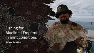Huge Bluelined Emperor... Arvo Glass Off