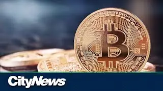 Business Report: Crypto markets bounce back