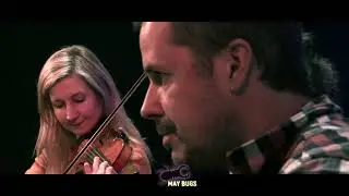 May Bugs  Lady Eligen's Courtship set