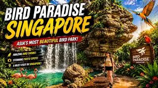 Best Bird Park in Asia | Bird Paradise