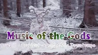Sacred Bass Music Mix - Psychill - Psybient - Psydub