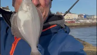 Sea Fishing, Bridlington harbour wall (North) Saturday 13/12/25 #seafishing #seaside #fish 