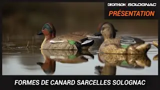 BLETTES DE SARCELLES SOLOGNAC : ELLES SONT L&Agrave; !