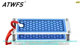 1005005908851263 Ozone Generator 220V 110V 10g Home Air Purifier Ozonizador Cleaner Deo
