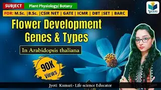 Flower Development Genes in Arabidopsis || CSIR-NET | GATE | BARC | Plant Biology