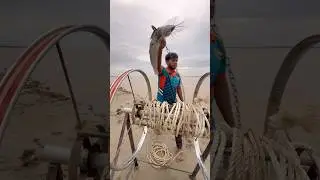 Catching Shark in River with Catfish Bait  #hook  #yarnroll  #shorts