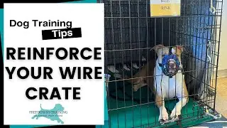 Wire Crate Reinforcement | Freedom K9 Training