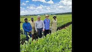 Ep 176 | Yes, Tea is Getting Pricy | Lipton Partners with Cranfield U to Lower Tea Emissions | Ju...