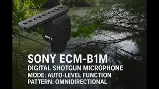 Sony ECM-B1 Mic Test | Mode: Omnidirectional | Auto-Level Function Pattern (Westchester, IL)