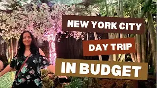 New York City in budget ( mini vlog ) #minivlog #newyorkcity #youtube #nycvlog #queenwin #fyp #yt