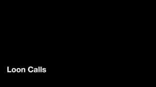 Loon Calls