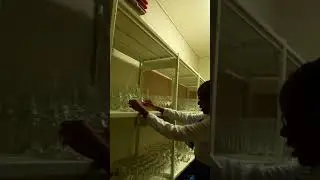 Responsibilities of store keeper