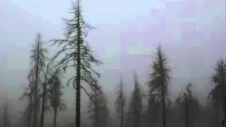 Abyssmal Sorrow - Bound In Lifeless Affliction (DSBM)
