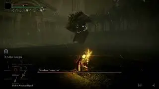 Elden RIng Dancing Lion No Hit Test vid(Ornamental Staraight Sword)