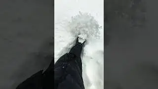 Snow kicking #shortvideo